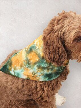 NEW Forest Ember Tie Dye Dog Bandana in Green Cotton Hand Dyed by Akasha Sun